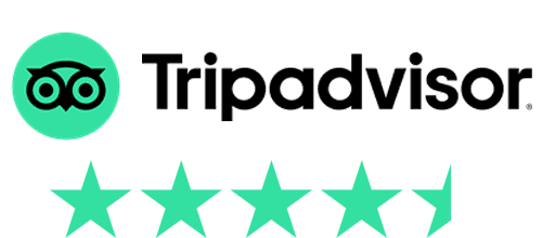 Tripadvisor Rating