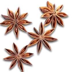 star_anise_flowers (1)